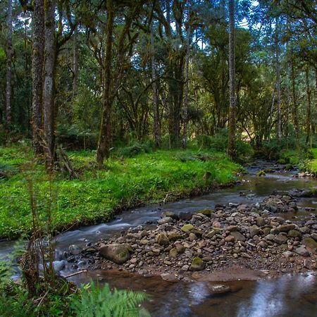 Refugio Tres Catarinas Villa Urubici Eksteriør billede